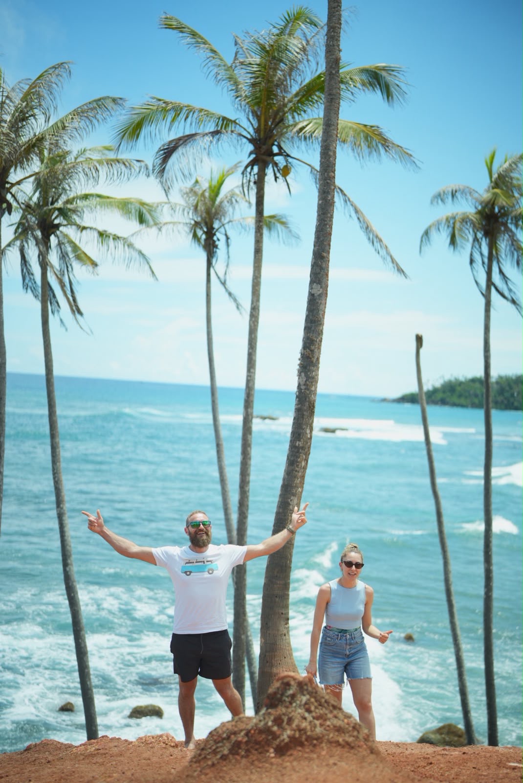 Coconut tree hills