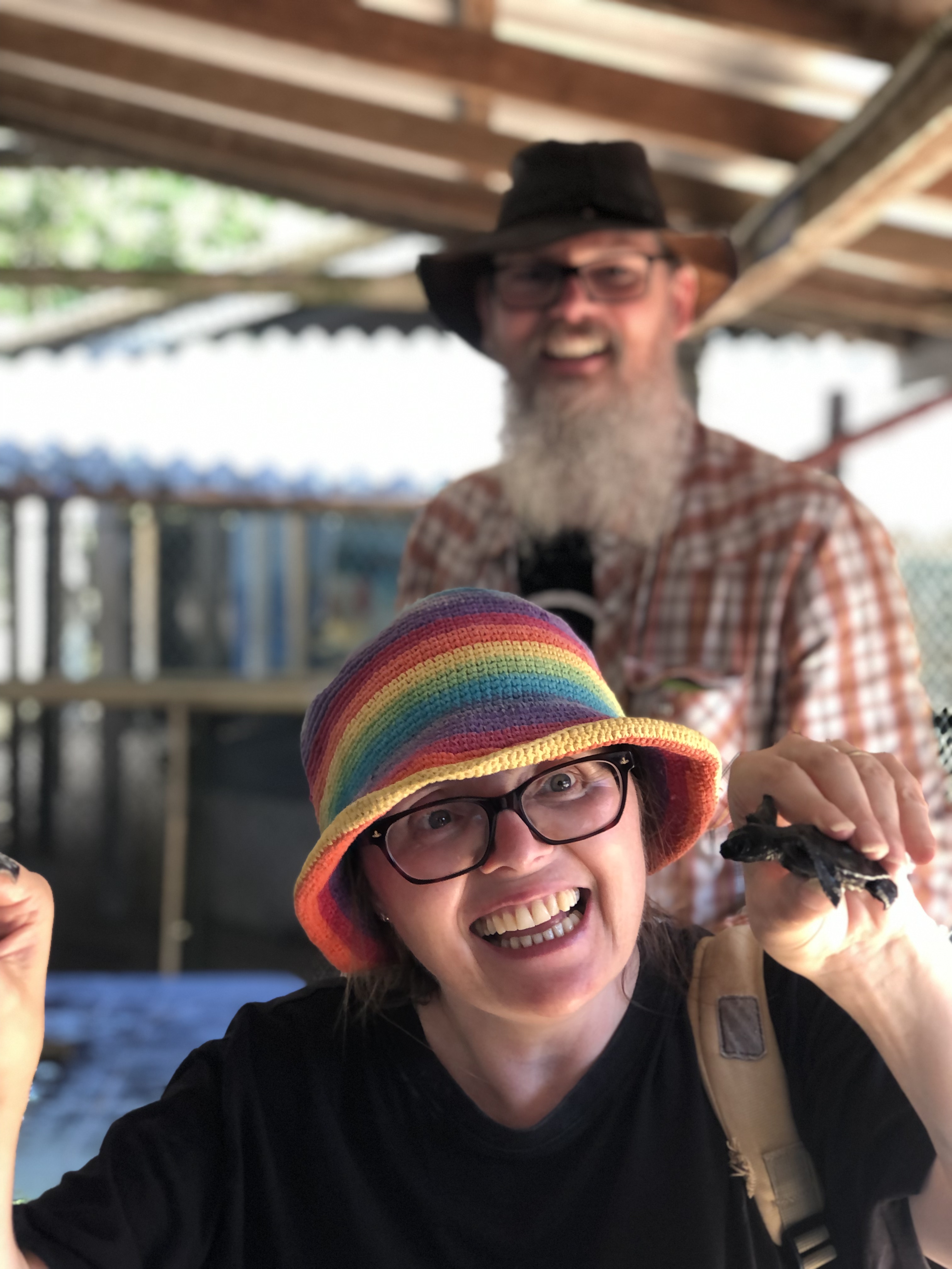 Turtle hatchery